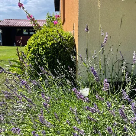 I Goscinne דירה *