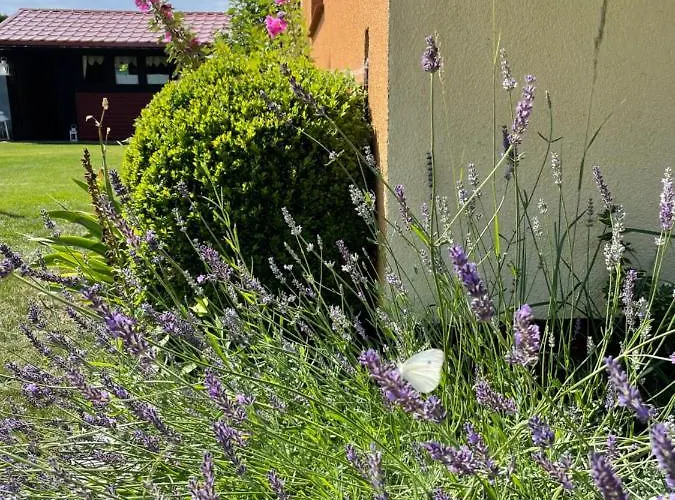 I Goscinne アパート *